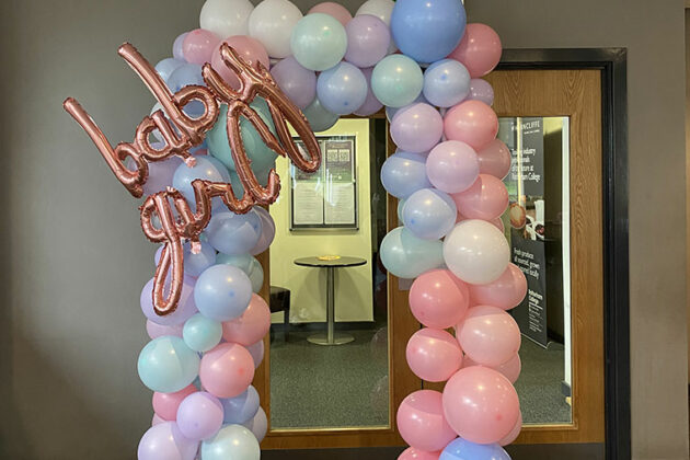 Baby girl balloon arch