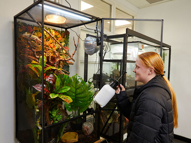 An animal care student caring for the reptiles