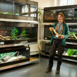 Someone stood holding a snake with other reptiles in the background