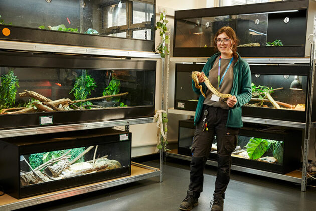 Someone stood holding a snake with other reptiles in the background